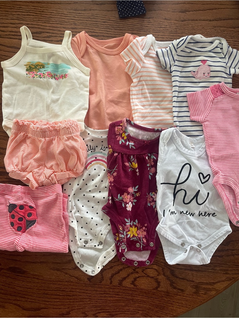 Baby Girls Bodysuit and Shorts Set Bundle